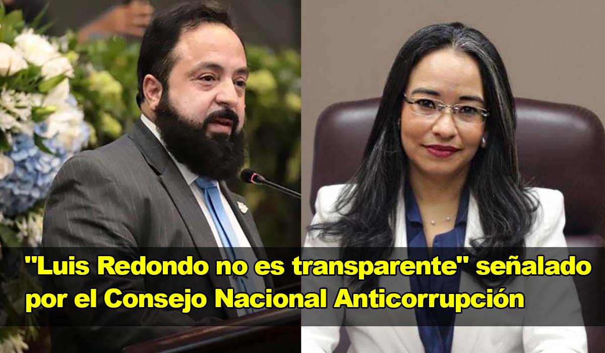 Gabriela Castellanos, Directora del CNA, señala que Luis Redondo no es transparente